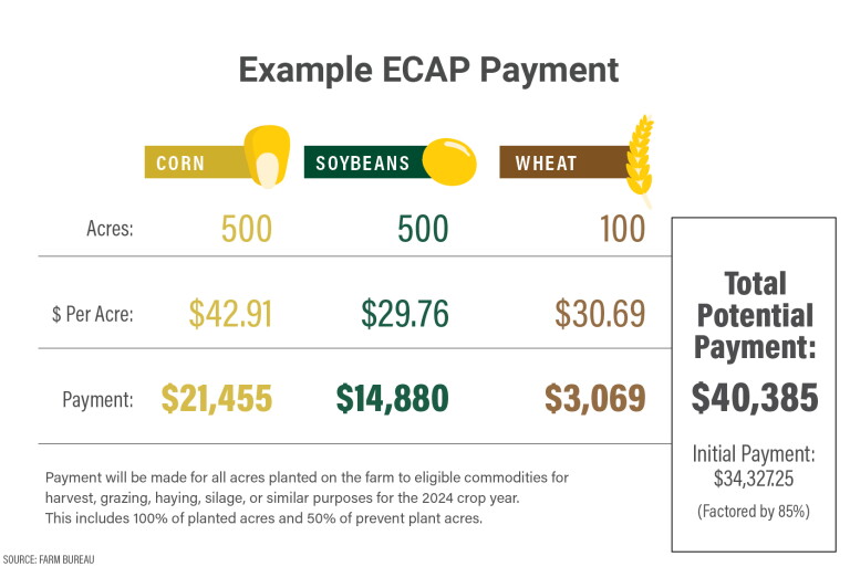 $10 Billion in ECAP Aid Now Available to Qualifying Farmers - AgWeb