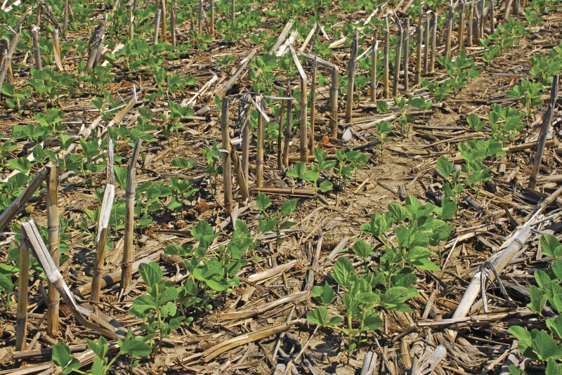 As a possible policy shift may put sustainable farming practices in the spotlight, companies are already paying farmers to shift to more "climate smart farming" like utilizing no-till as a production method. 