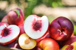 California Fresh Fruit Association