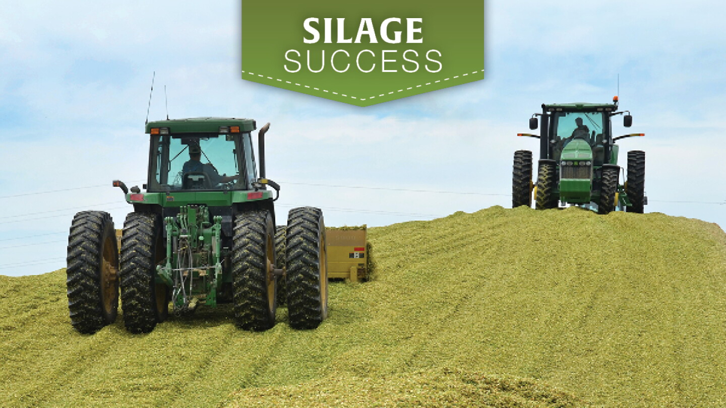Silage Packing Mistakes Can Cost You Feed Quality