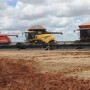Brazil soybean harvest
