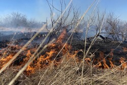 Texas wildfire