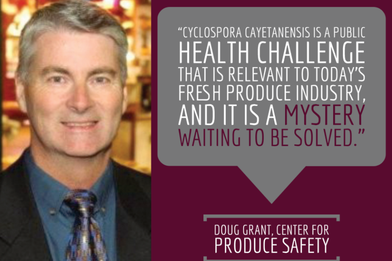 Oppy's Doug Grant, who chairs the Center for Produce Safety’s Knowledge Transfer Task Force, writes about the research CPS is funding for the benefit of the produce industry.