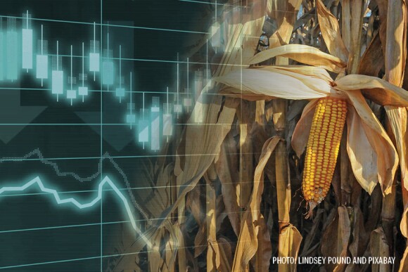 Corn Markets Corn Prices - Lindsey Pound and Pixabay