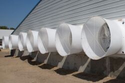 Get Your Fans Ready for Summer
