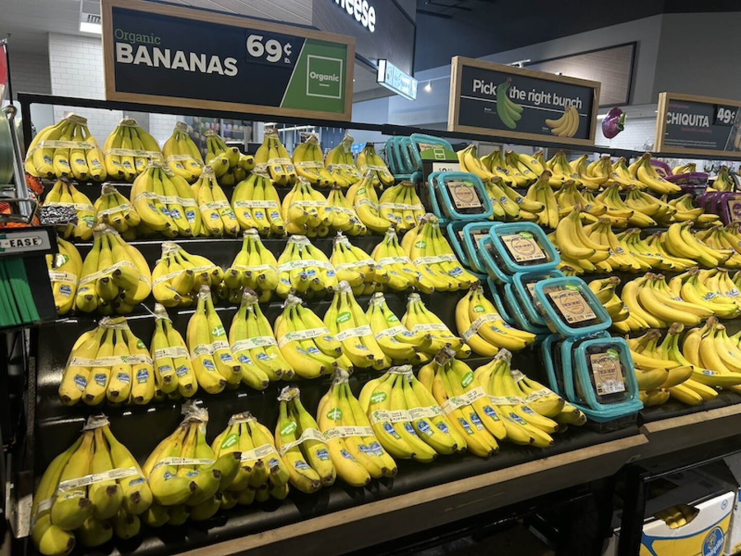 organic%20bananas%20EMBED.jpeg