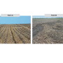 Residue remains in place on Farm A, while rainfall has obviously washed away soil and residue on Farm B, reflecting the  differences in soil health of the two fields. After three years of improving soil health, those differences are far less evident.