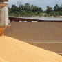 shipping corn trade