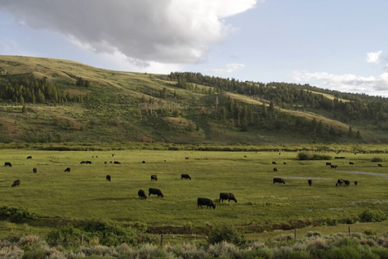 Wyoming ranch
