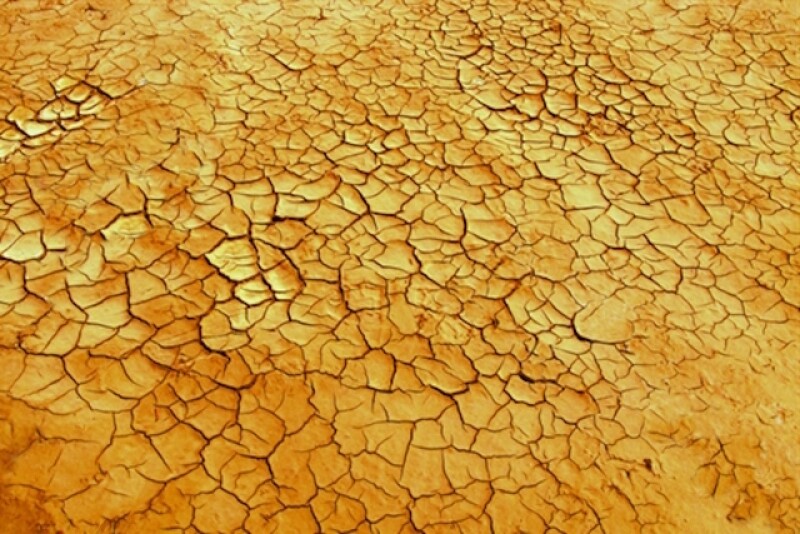 drought5.jpg
