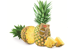 1D5CFFFF-18D6-4505-B970BFA001DC9A0E.png