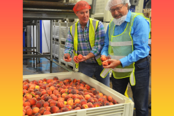 Eastern Propak CEO Rob Kearney (from left) and New Jersey Agriculture Secretary Douglas Fisher check out a bin of peaches grown in New Jersey.