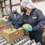 Workers for Liberty Fruit Co. Inc. pack produce for the U.S. Department of Agriculture’s Farmers to Families Food Box Program.