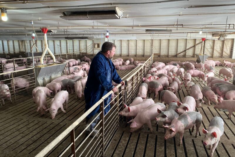 A modest improvement in production costs is expected in 2023, but the report notes local conditions will vary and risk management will remain critical to success.