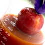 Egg based coating for apple