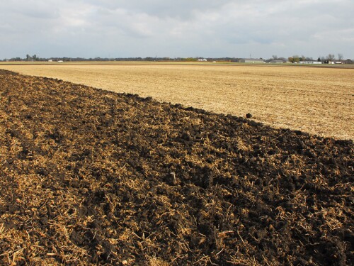 Hybrid Tillage