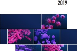 The 2019 report shows an 18% reduction in annual AR-associated deaths since 2013.