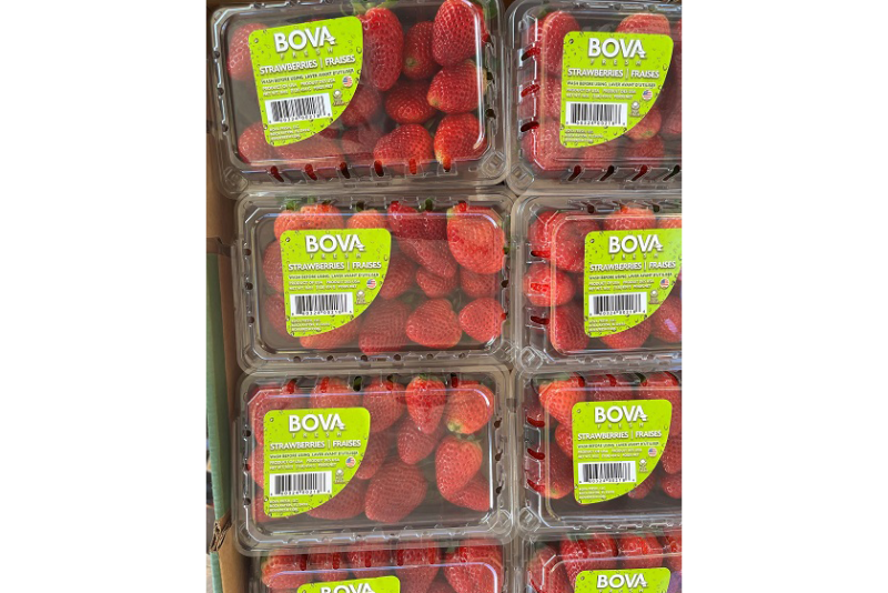 bova fresh