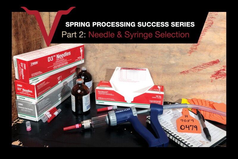 Effective Needle and Syringe Strategies to Ensure Spring Processing Success