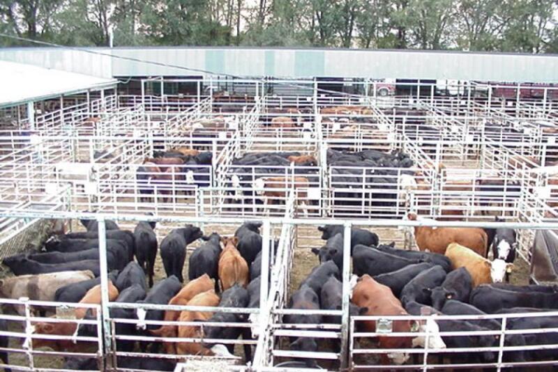 Manhattan Commission