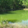 green_pond_web