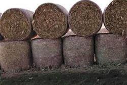 Bale windbreak