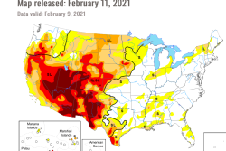 Screen%20Shot%202021-02-16%20at%2011.46.08%20AM_0.png