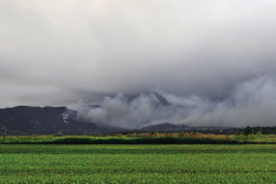 Wildfire_1200x628.png