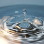 05A9E44A-2964-4CB7-812DB56CF5548794.png