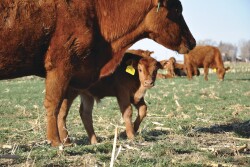 What impact will coronavirus have?