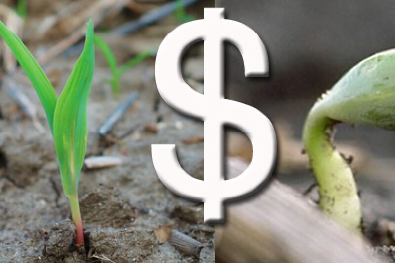 corn-soybean-price.jpg