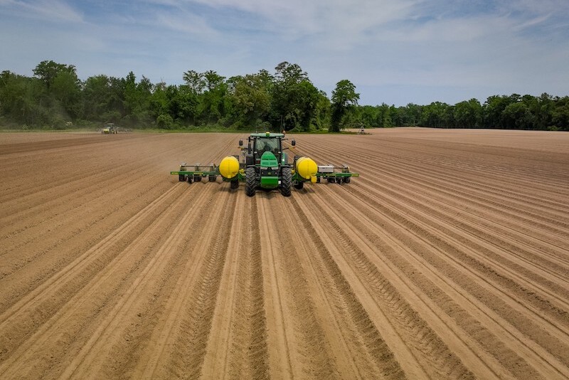 peanut planting in nc