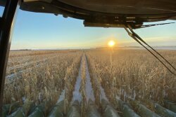 Harvest came to a halt in some areas seeing snow, while other farmers continued to roll on with corn. The sudden shift to winter weather may be short-lived. 