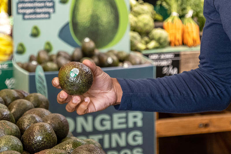 The arm of a shopper is in the photo, with an avocado in hand near a bin of avocados in a store