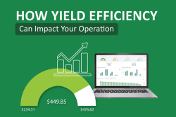 How yield efficiency can impact your operation