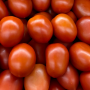 94628A57-E760-456D-96BAA2C1E9AD150A.png