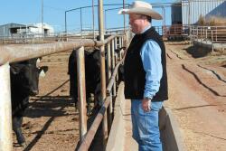 James Henderson, Bradley 3 Ranch, Memphis, Texas