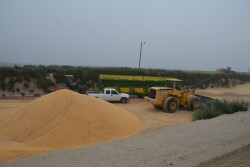 BT_High_Moisture_Corn_Silage
