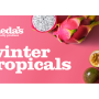 Frieda's winter tropicals.png