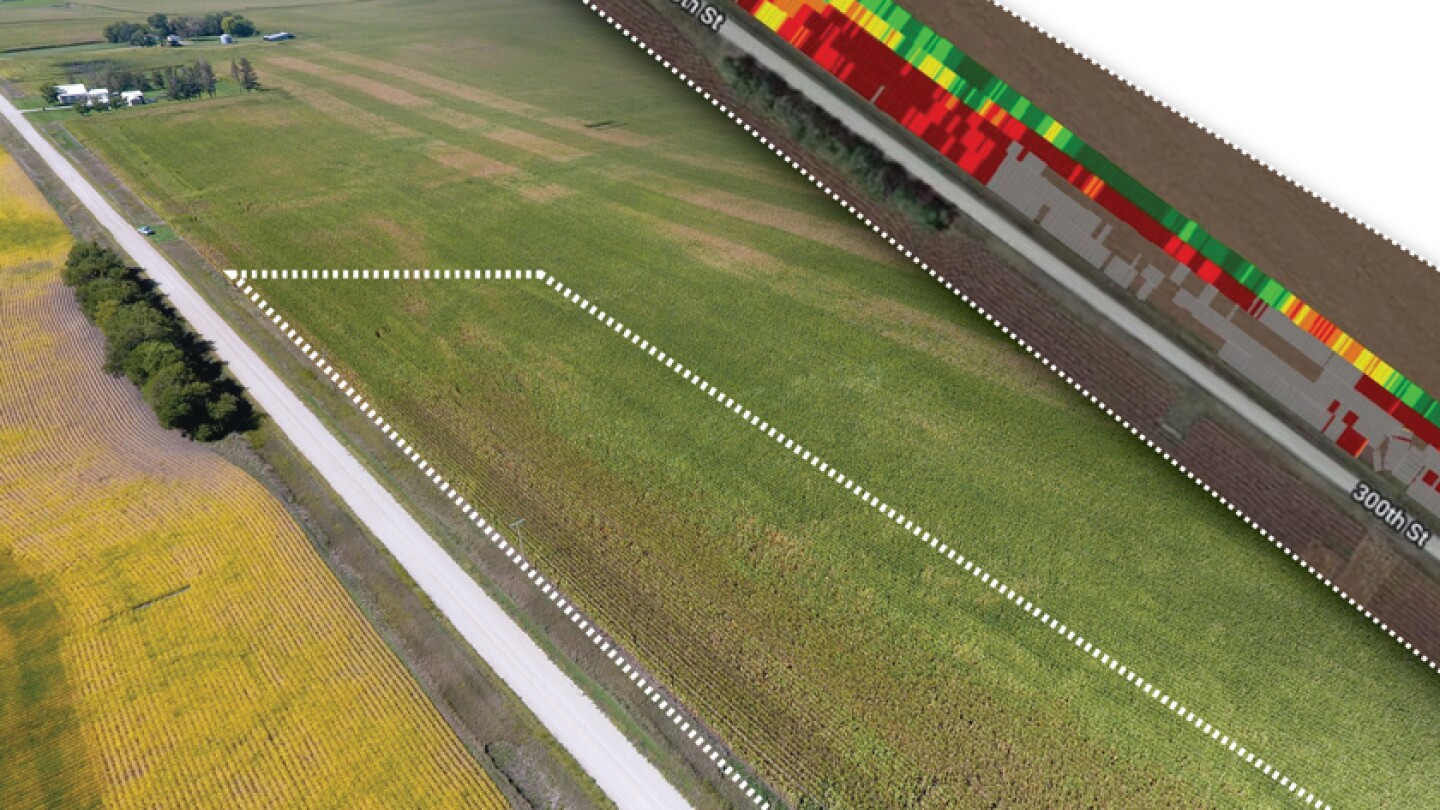 Corn Yield Losses to ‘Edge Effect’ Elevated by Contrary Micro-Climate ...