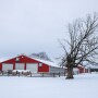 Not all buildings are built the same. Therefore, it’s important to know just how much snow your roof can handle.