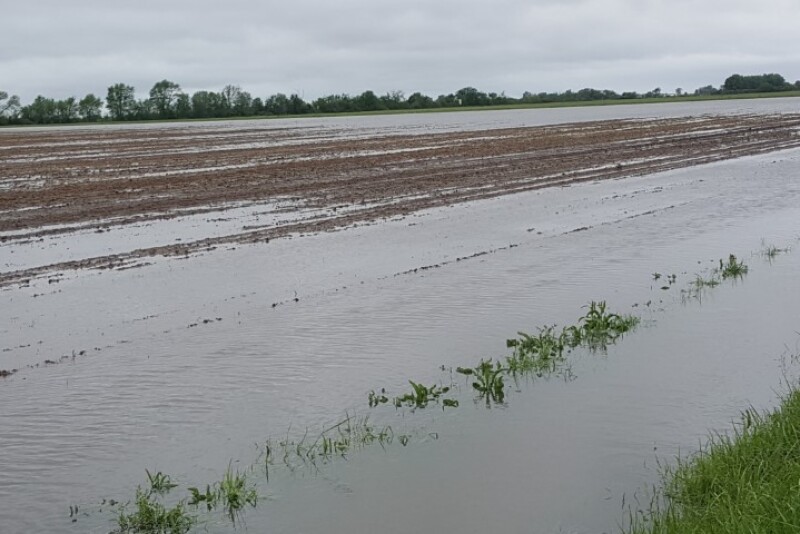 FloodedFields-springplanting