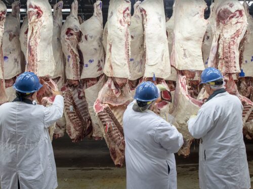 meat packer