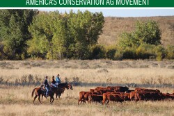 "Land is the foundation of the ranch. You have to take care of the soil and the grass." —Toby Johnson