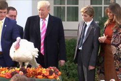 Pres Trump Turkey Pardon 2017
