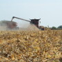 As corn prices climb past $4, the unprecedented harvest price momentum continues. What is driving the higher prices? Economists with the University of Tennessee Institute of Agriculture weigh in. 