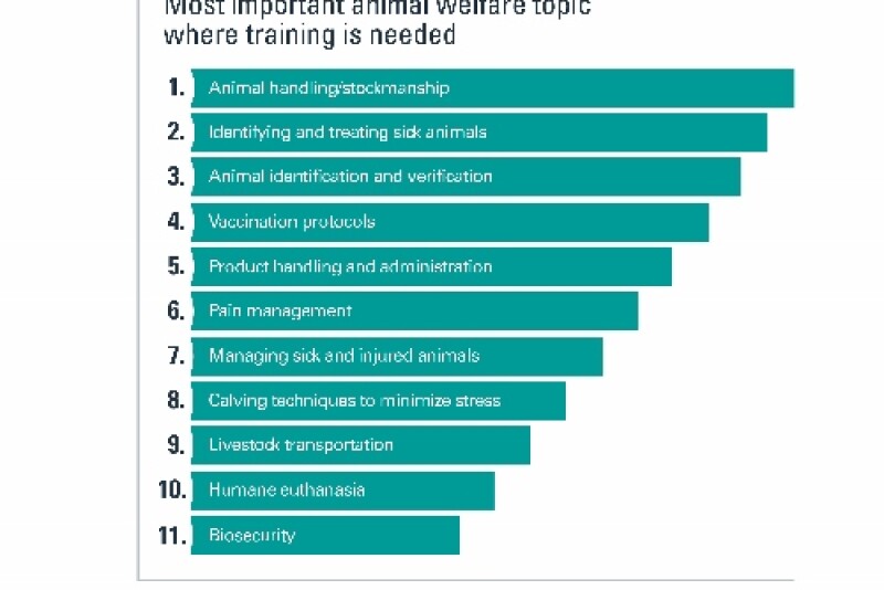 Across beef production segments, the most important animal welfare topic where training is needed was animal handling, identifying and treating sick animals was second, and animal identification and verification was third. The only exception was among beef veterinarians who ranked vaccination protocols third.
