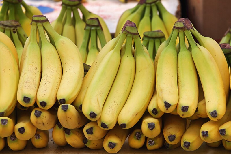 Organic Bananas
