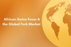 ASF in Global Market