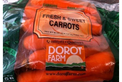 dorot